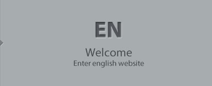 Enter english website